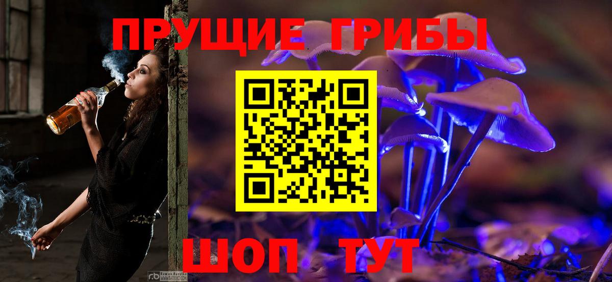 Псилоцибиновые грибы ЛСД  Псилоцибиновые грибы прущие грибы  Белгород  где можно купить наркотик  Вход с VPN 