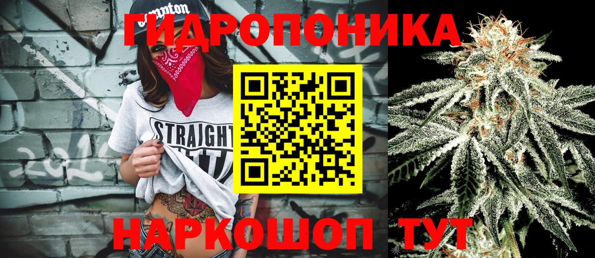 МАРИХУАНА ГИДРОПОН Белгород